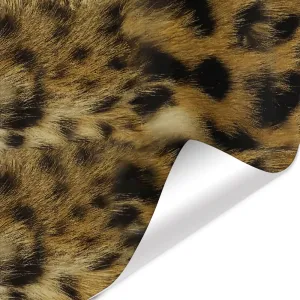 3D Pattern Vinyl Car Wrapping