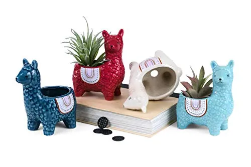 4 Pc. Set Alpaca Succulent Cacti Planter Pots