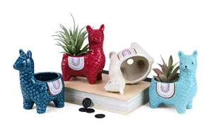 4 Pc. Set Alpaca Succulent Cacti Planter Pots