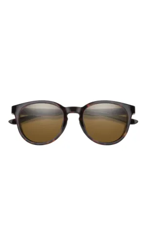 Eastbank Tortoise // Brown