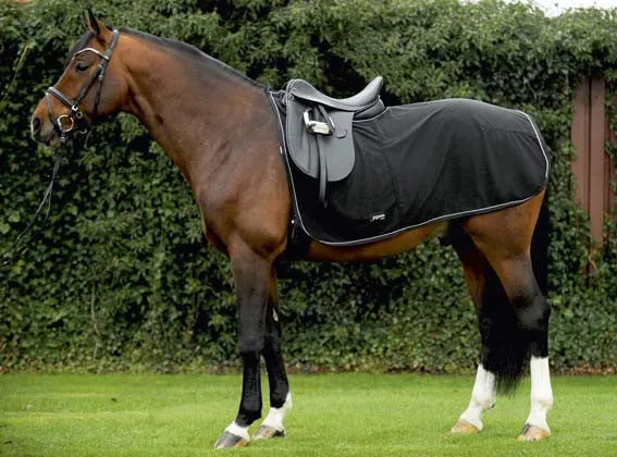 Mr Feel Warm Exercise Blanket