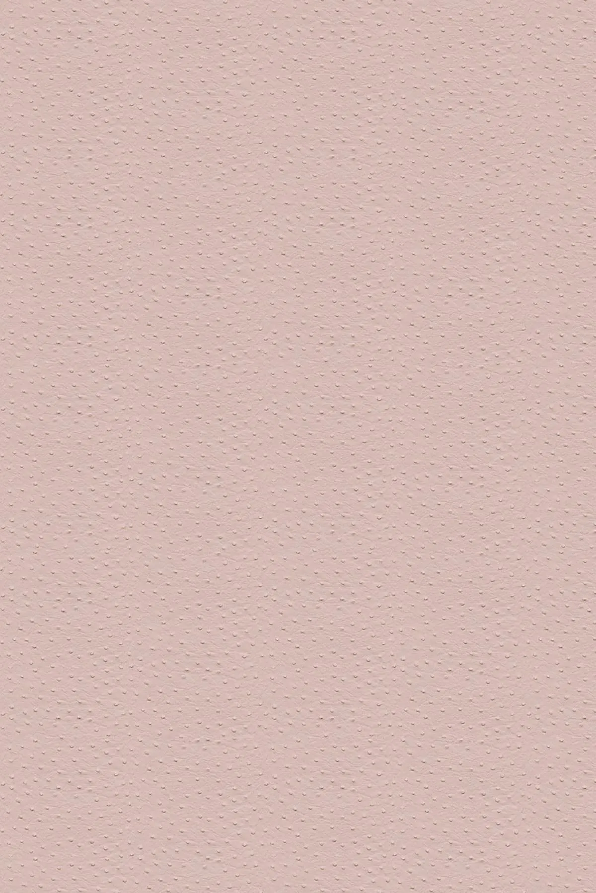 Ostrich Pink