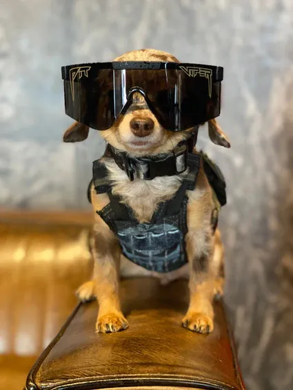 Pit Viper The 2000 z87  Ballistic Rated Sunglasses 2023