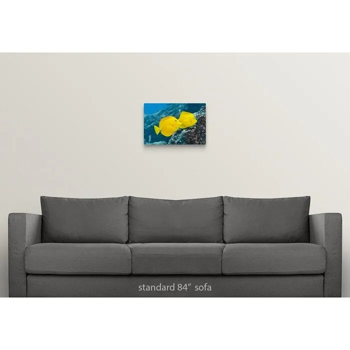 "A Pair of Yellow Tangs swimming over a tropical coral reef. Pacific Ocean, H" Canvas Wall Art