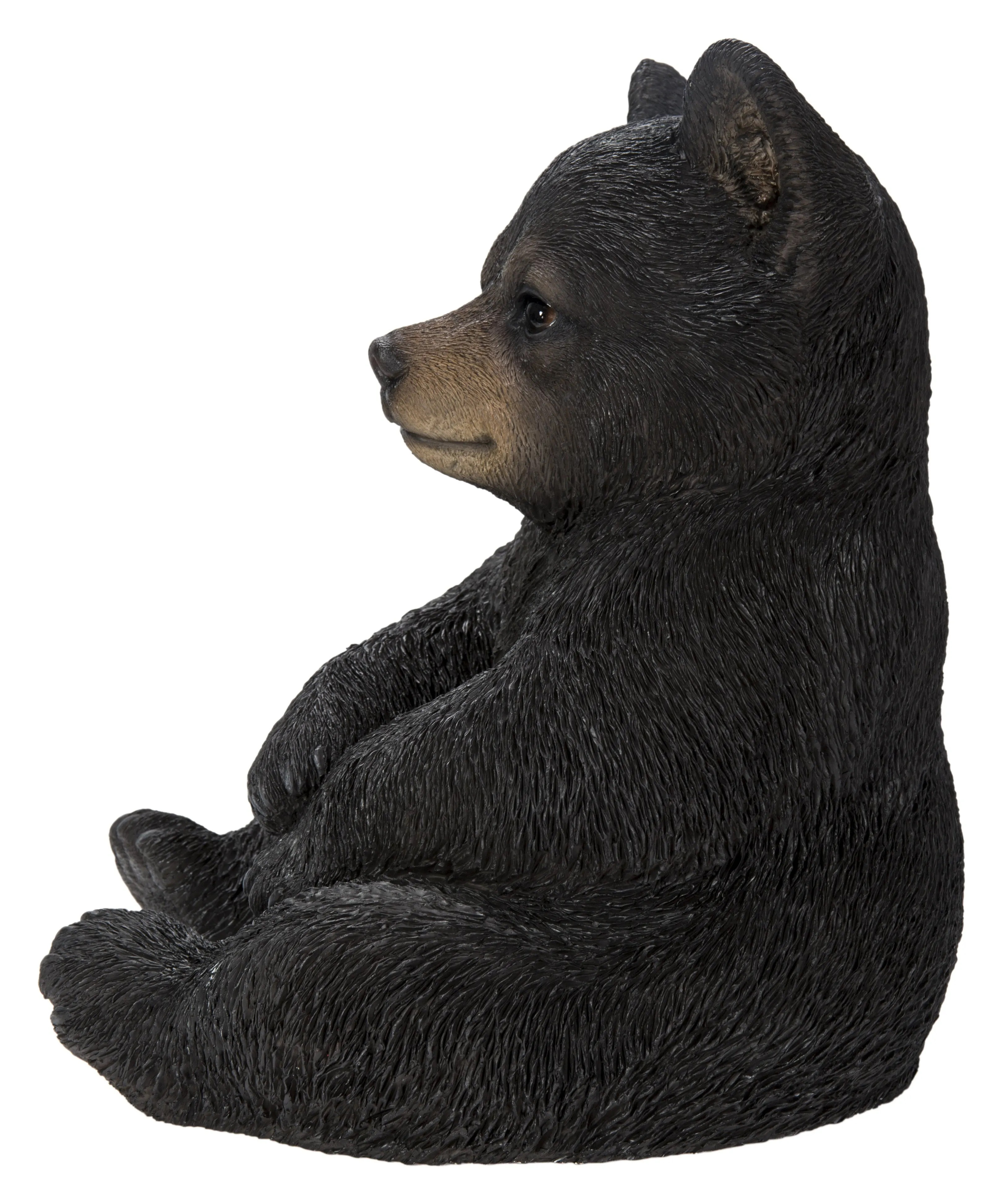 Sitting Black Bear Cub