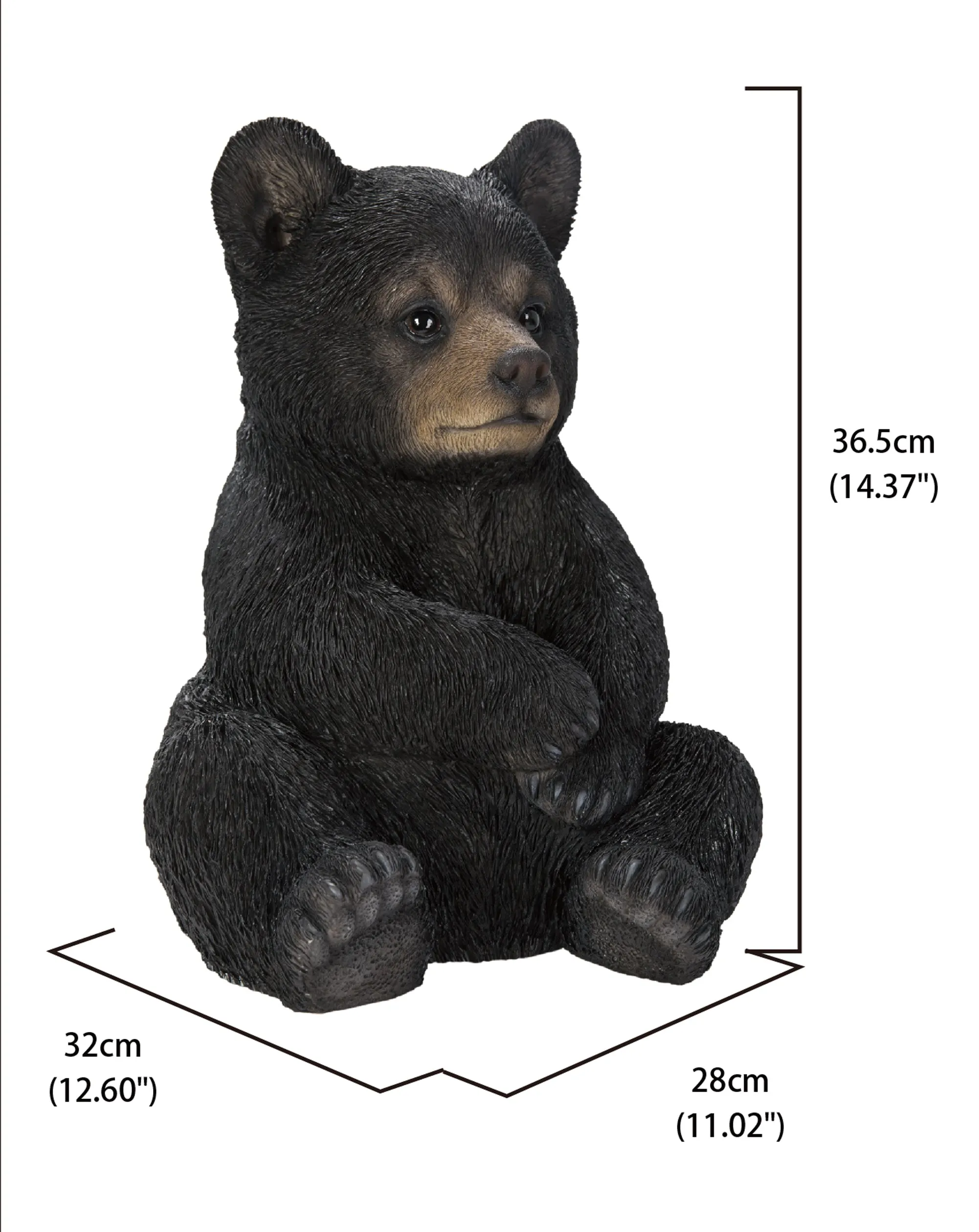 Sitting Black Bear Cub