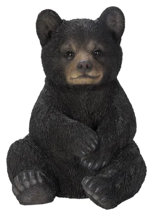 Sitting Black Bear Cub